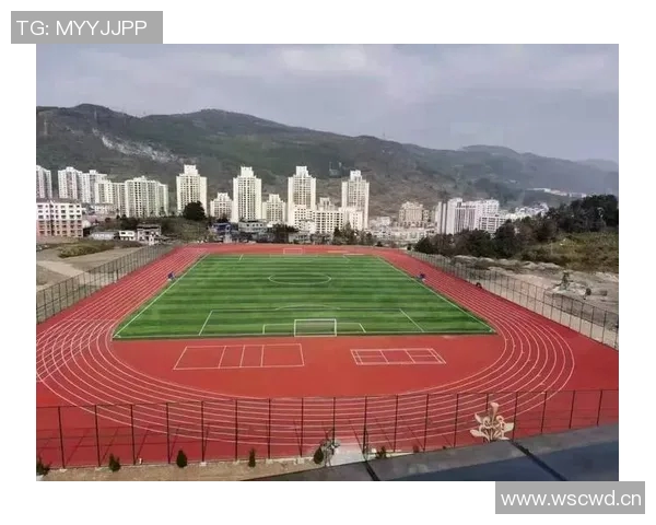 塑胶跑道的优缺点分析及其在体育场馆建设中的应用探讨 塑胶跑道的优缺点分析及其在体育场馆建设中的应用探讨