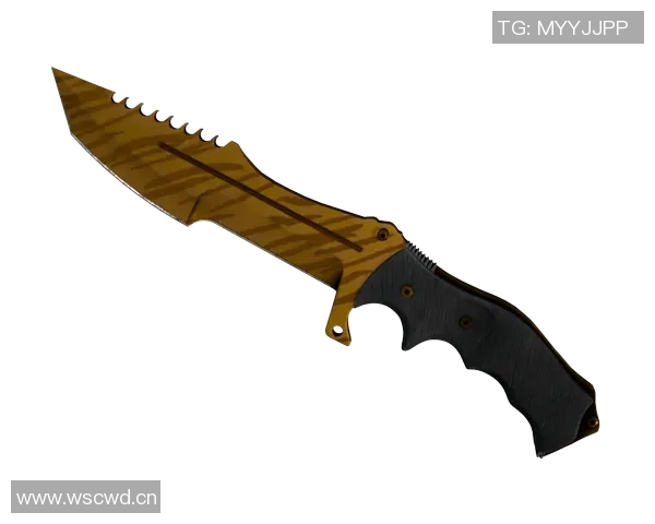 BLG在CSGO速度排行榜中荣登第一名引发玩家热议